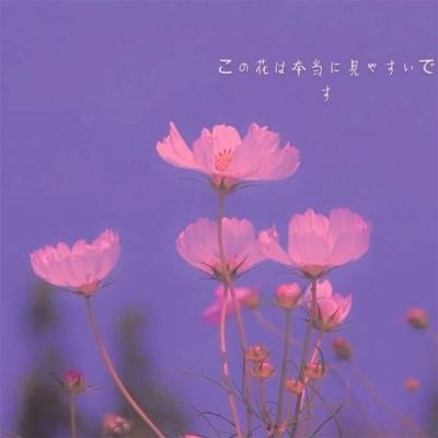 深海战线bilibili手游下载